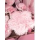Mademoiselle Pearl Sanrio My Melody Peach Blossom Themed OPs(Reservation/Full Payment Without Shipping)
